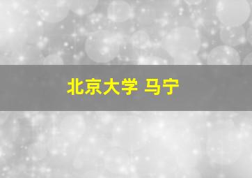 北京大学 马宁